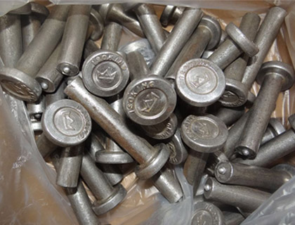 310S SS Fasteners