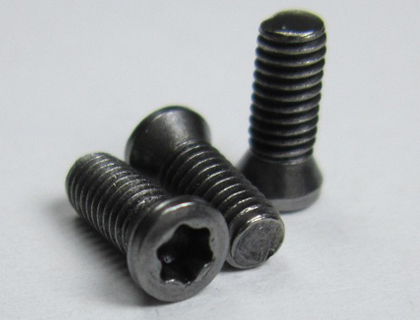 CS ASTM A36 Fasteners