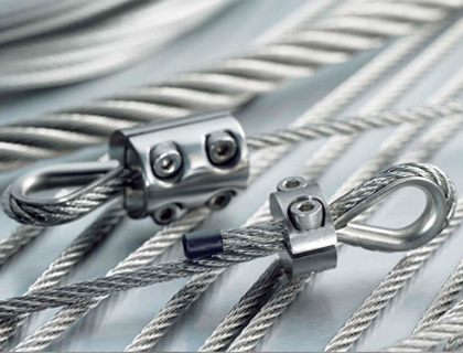 Alloy Wire Rope Fittings